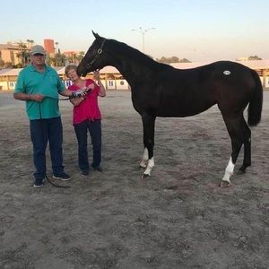 Meet your Posher, Kathy